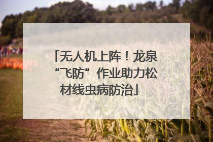 无人机上阵！龙泉“飞防”作业助力松材线虫病防治