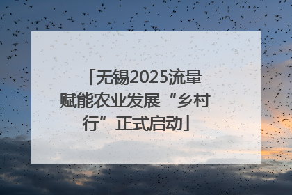 无锡2025流量赋能农业发展“乡村行”正式启动