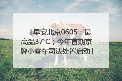早安北京0605：最高温37℃；今年首期京牌小客车司法处置启动