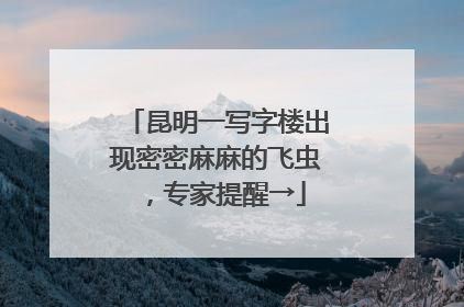 昆明一写字楼出现密密麻麻的飞虫，专家提醒→