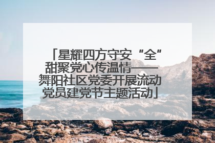 星耀四方守安“全” 甜聚党心传温情——舞阳社区党委开展流动党员建党节主题活动