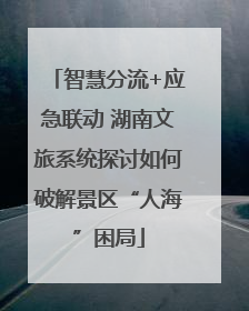 智慧分流+应急联动 湖南文旅系统探讨如何破解景区“人海”困局
