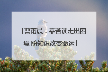 曹雨晨：靠苦读走出困境 盼知识改变命运
