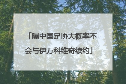 曝中国足协大概率不会与伊万科维奇续约
