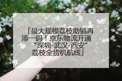 最大规模荔枝助销再添一码！京东物流开通“深圳-武汉-西安” 荔枝全货机航线