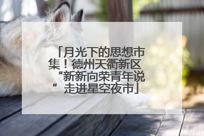 月光下的思想市集！德州天衢新区“新新向荣青年说”走进星空夜市
