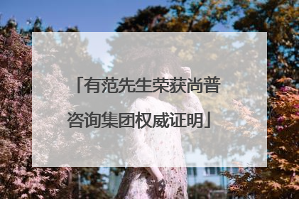 有范先生荣获尚普咨询集团权威证明