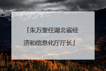 朱万奎任湖北省经济和信息化厅厅长