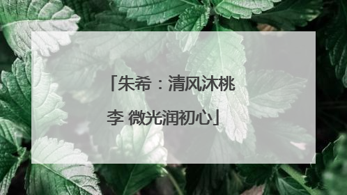 朱希：清风沐桃李 微光润初心