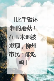 比手臂还粗的蘑菇！在玉米地被发现，柳州市民：能吃吗