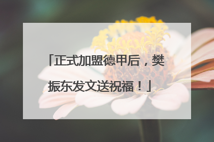 正式加盟德甲后，樊振东发文送祝福！