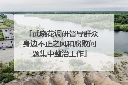 武晓花调研督导群众身边不正之风和腐败问题集中整治工作