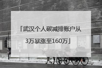 武汉个人碳减排账户从3万暴涨至160万