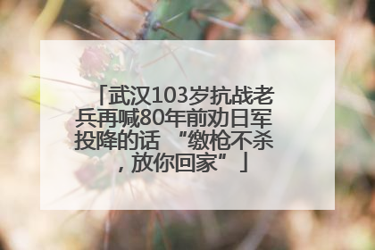 武汉103岁抗战老兵再喊80年前劝日军投降的话 “缴枪不杀，放你回家”