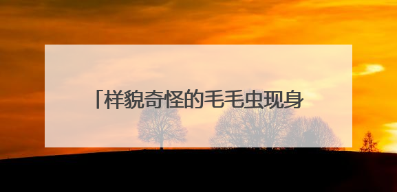 样貌奇怪的毛毛虫现身厦门公园步道，它们是啥？专业人士提醒→