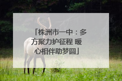 株洲市一中：多方聚力护征程 暖心相伴助梦圆