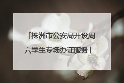 株洲市公安局开设周六学生专场办证服务