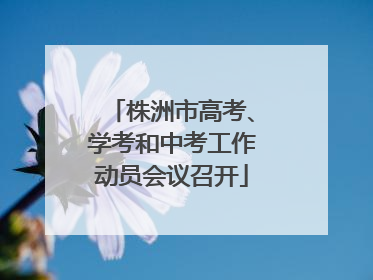 株洲市高考、学考和中考工作动员会议召开