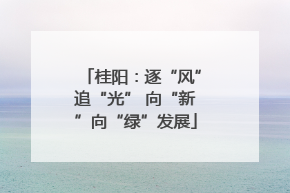 桂阳：逐“风”追“光” 向“新”向“绿”发展