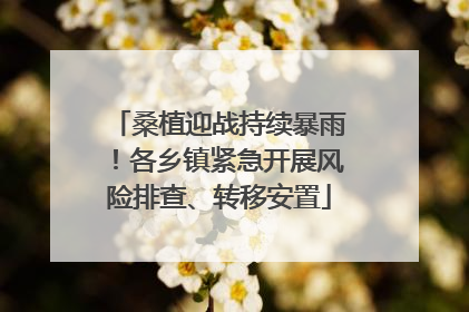 桑植迎战持续暴雨！各乡镇紧急开展风险排查、转移安置