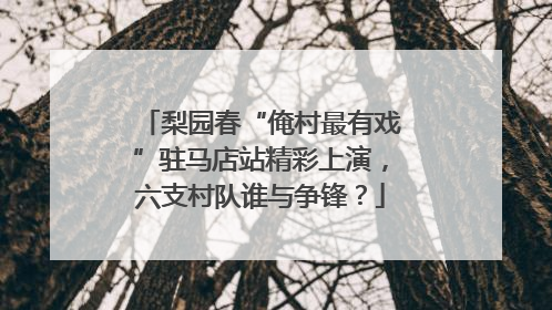 梨园春“俺村最有戏”驻马店站精彩上演，六支村队谁与争锋？