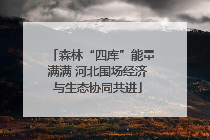 森林“四库”能量满满 河北围场经济与生态协同共进