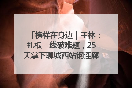 榜样在身边｜王林：扎根一线破难题，25天拿下聊城西站钢连廊“硬核”工程