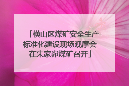 横山区煤矿安全生产标准化建设现场观摩会在朱家峁煤矿召开