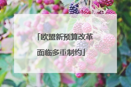 欧盟新预算改革面临多重制约