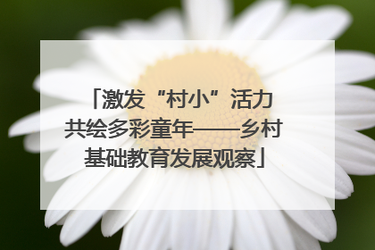激发“村小”活力 共绘多彩童年——乡村基础教育发展观察