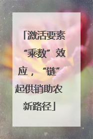 激活要素“乘数”效应，“链”起供销助农新路径
