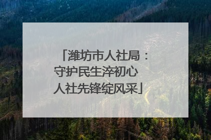 潍坊市人社局：守护民生淬初心 人社先锋绽风采