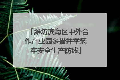 潍坊滨海区中外合作产业园多措并举筑牢安全生产防线