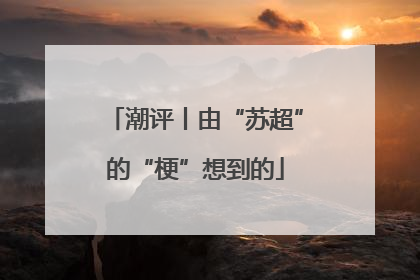 潮评丨由“苏超”的“梗”想到的