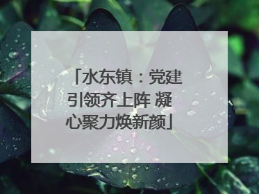 水东镇：党建引领齐上阵 凝心聚力焕新颜