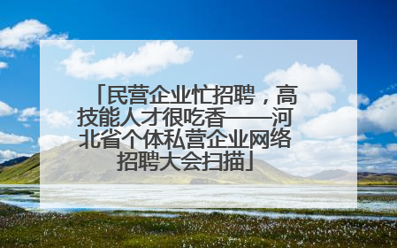 民营企业忙招聘，高技能人才很吃香——河北省个体私营企业网络招聘大会扫描
