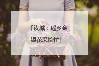 汝城：瑶乡金银花采摘忙