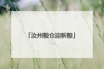 汝州粮仓迎新粮