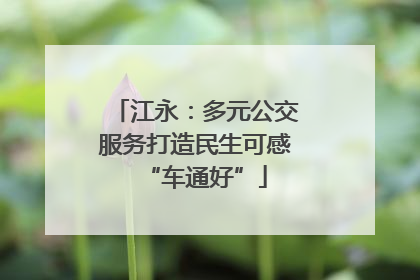 江永：多元公交服务打造民生可感“车通好”