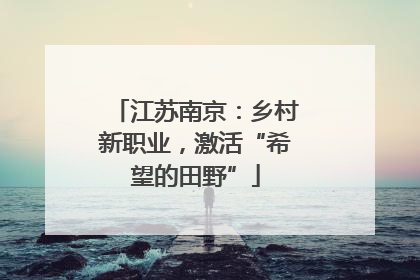 江苏南京：乡村新职业，激活“希望的田野”