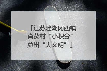 江苏建湖冈西镇肖荡村“小积分”兑出“大文明”