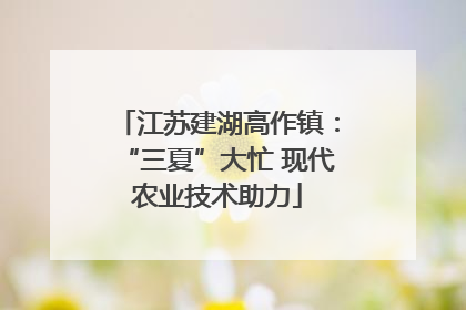 江苏建湖高作镇：“三夏”大忙 现代农业技术助力