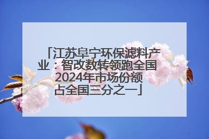 江苏阜宁环保滤料产业：智改数转领跑全国 2024年市场份额占全国三分之一