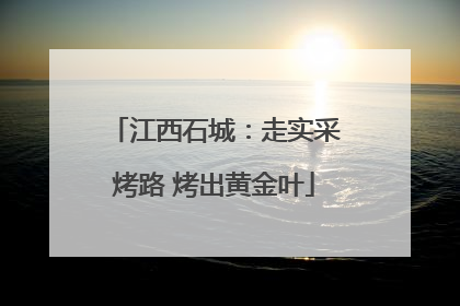 江西石城：走实采烤路 烤出黄金叶