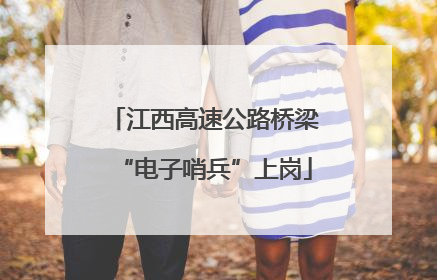 江西高速公路桥梁“电子哨兵”上岗