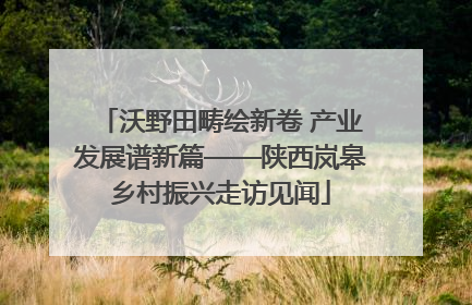 沃野田畴绘新卷 产业发展谱新篇——陕西岚皋乡村振兴走访见闻