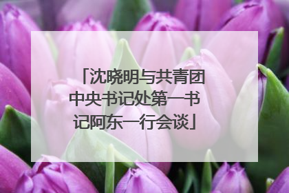 沈晓明与共青团中央书记处第一书记阿东一行会谈