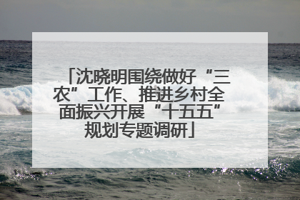 沈晓明围绕做好“三农”工作、推进乡村全面振兴开展“十五五”规划专题调研