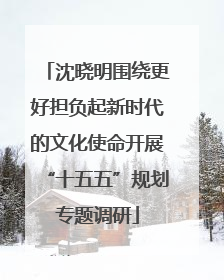沈晓明围绕更好担负起新时代的文化使命开展“十五五”规划专题调研