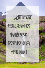 沈阳市聚焦银发经济释放530亿元投资合作机会